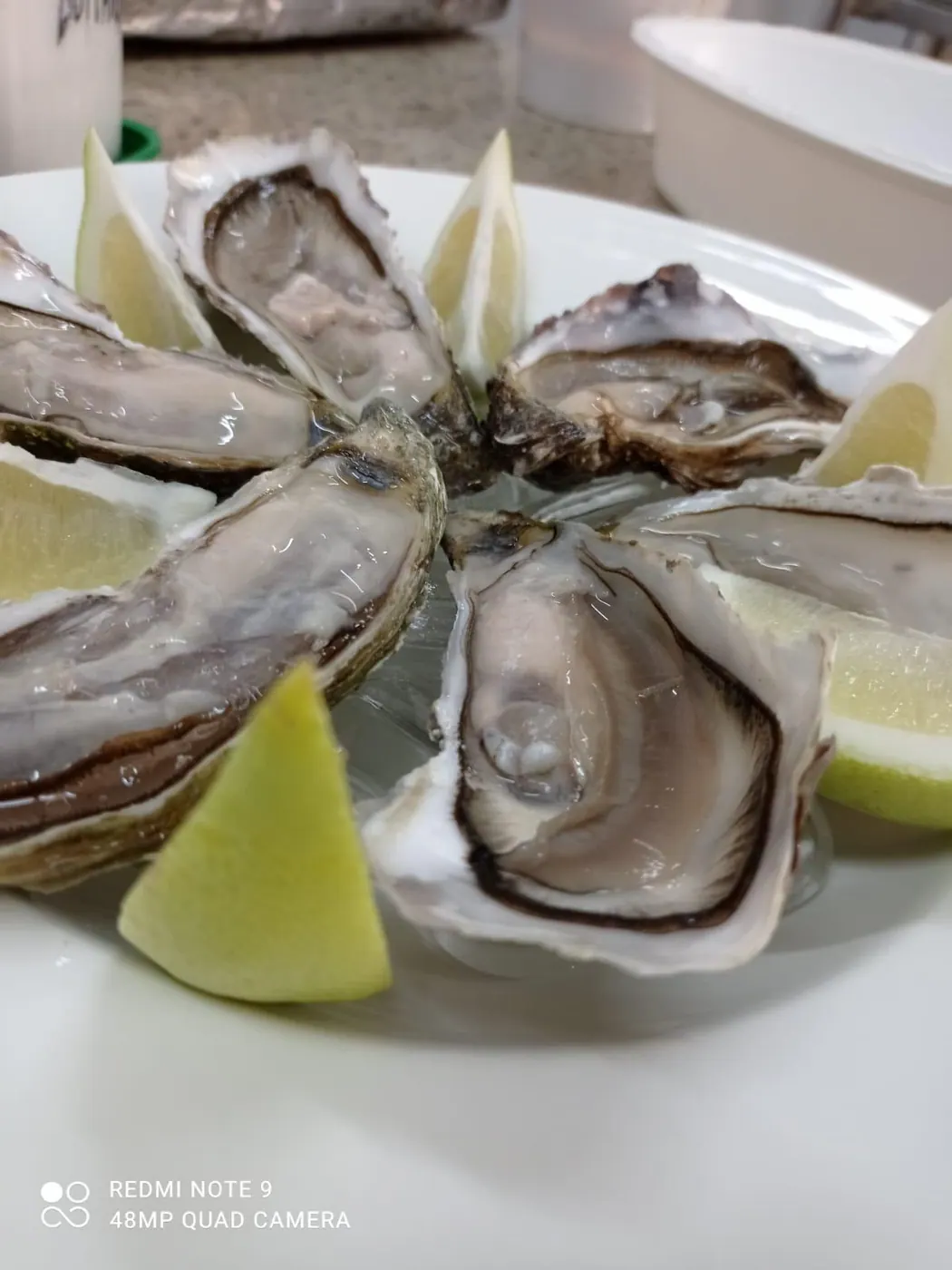 Ostriche servite con limone — Sikania
